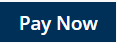 Pay now button